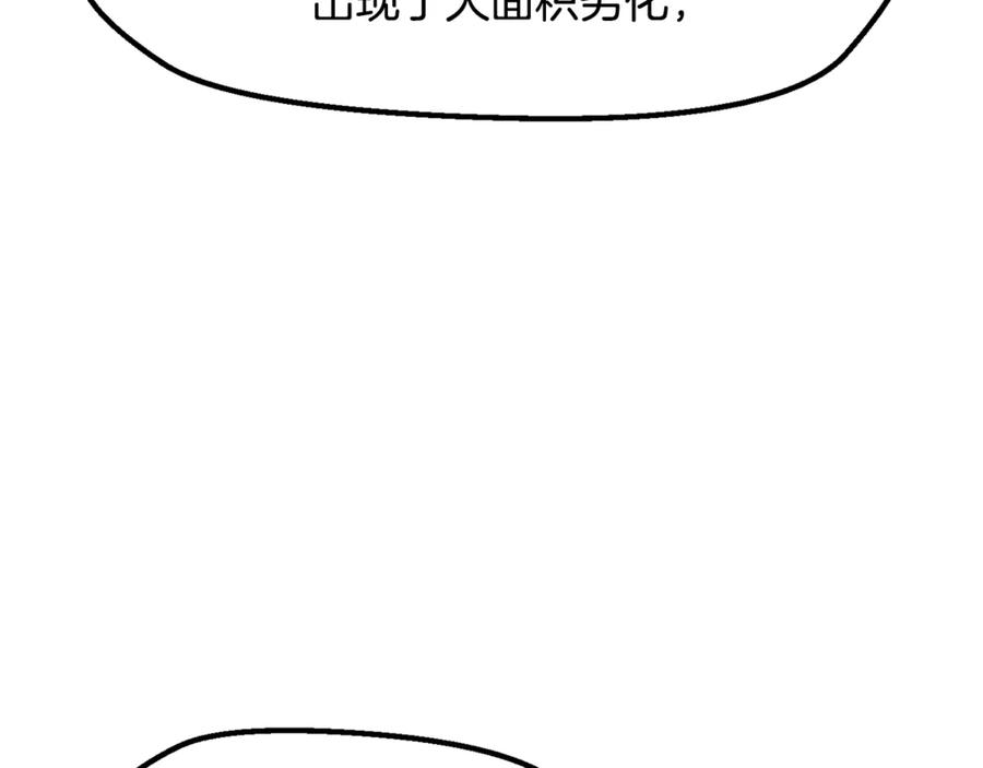 146.jpg