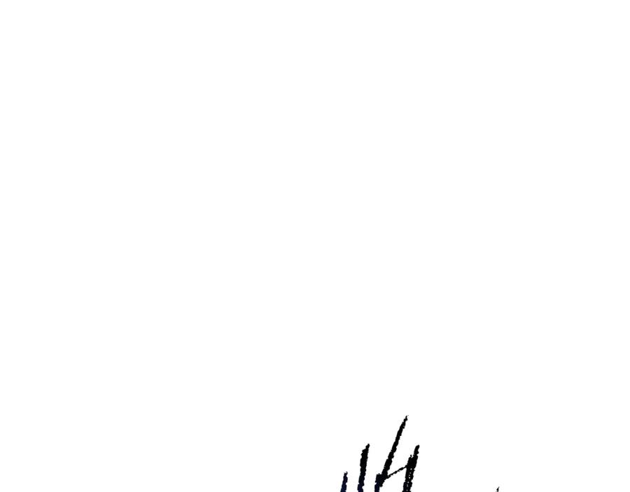 166.jpg