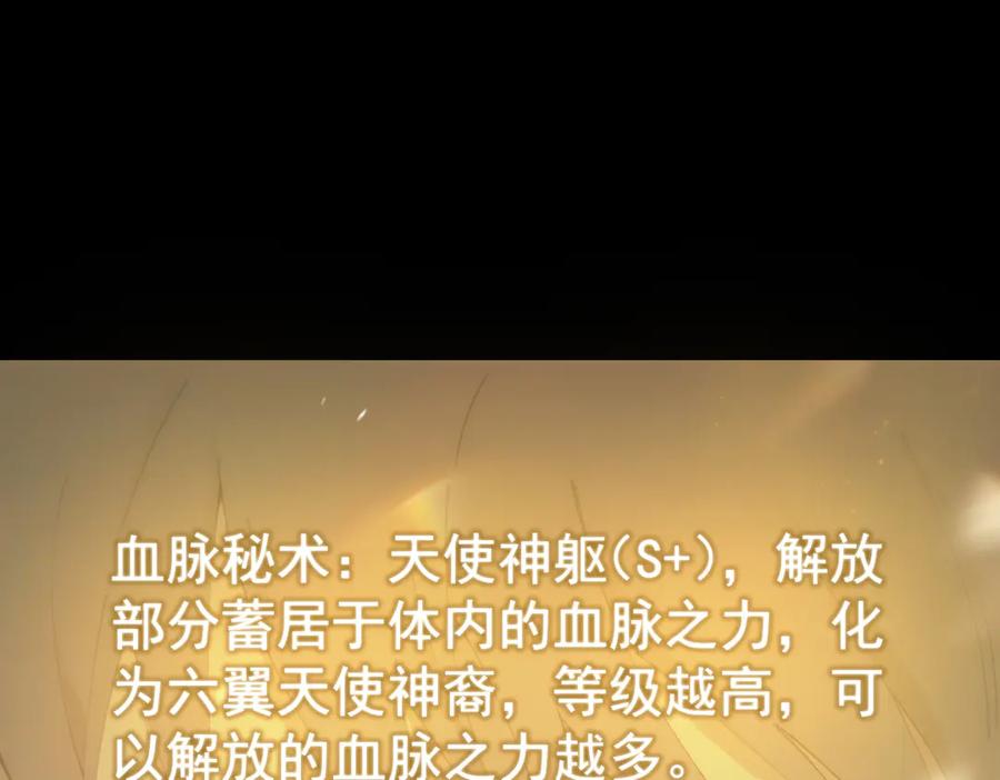 《SSS级超越常理的圣骑士》第25话 训练场挑战开启 第11页