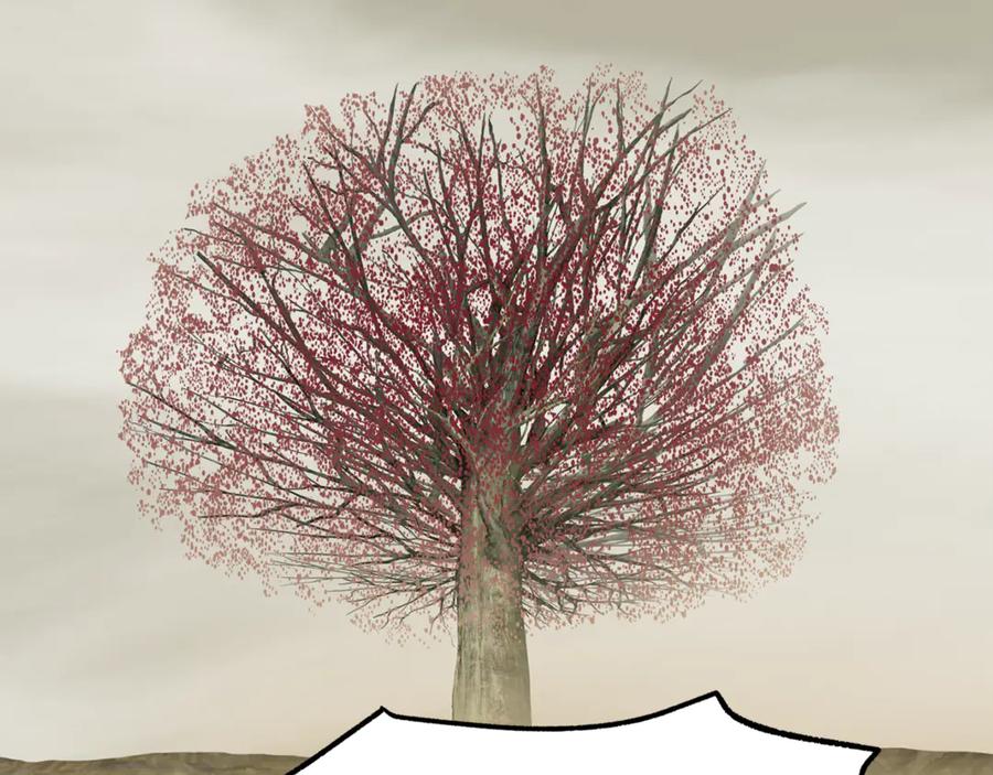 46.jpg