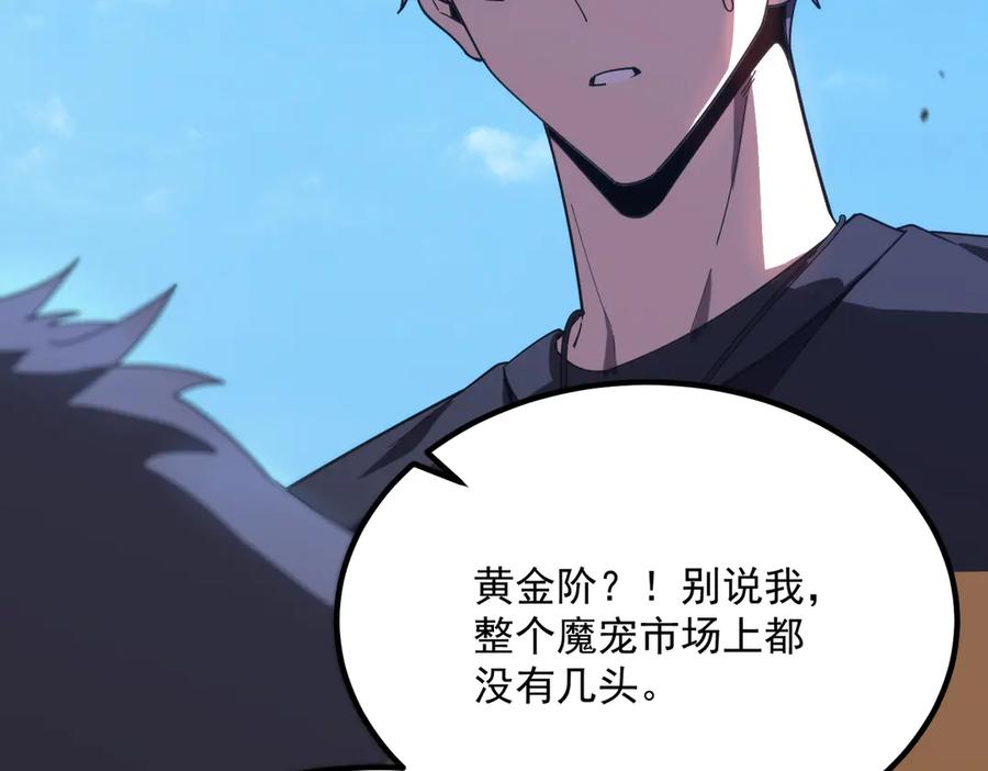 《SSS级超越常理的圣骑士》第27话 史诗阶魔宠 第119页