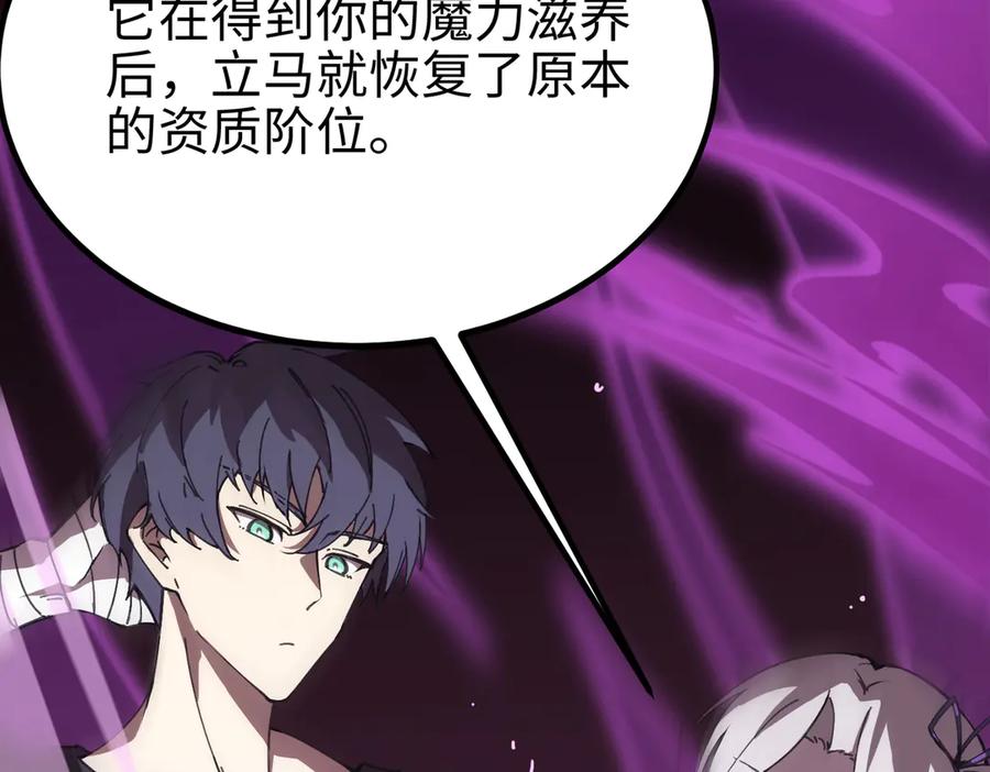 《SSS级超越常理的圣骑士》第27话 史诗阶魔宠 第162页