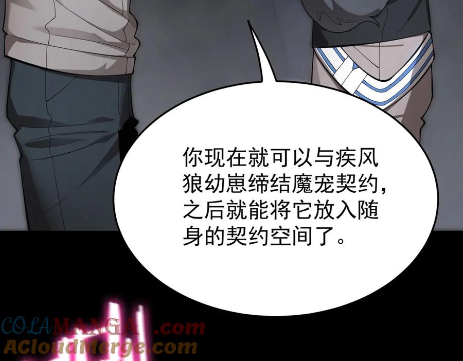 《SSS级超越常理的圣骑士》第27话 史诗阶魔宠 第137页