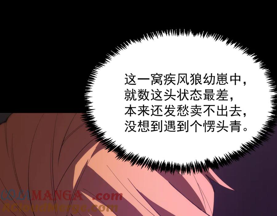 《SSS级超越常理的圣骑士》第27话 史诗阶魔宠 第141页