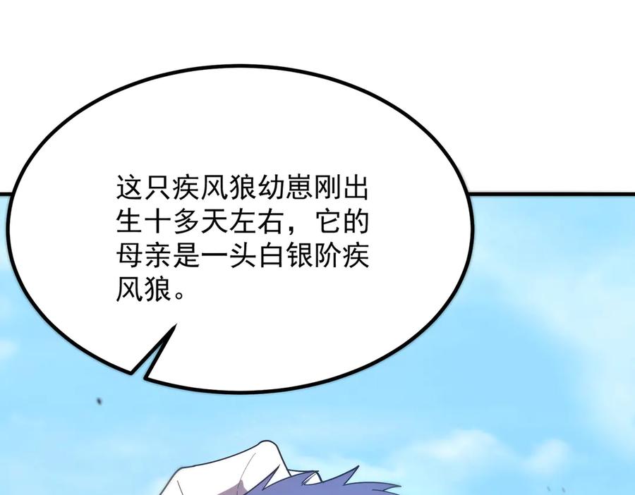 《SSS级超越常理的圣骑士》第27话 史诗阶魔宠 第114页