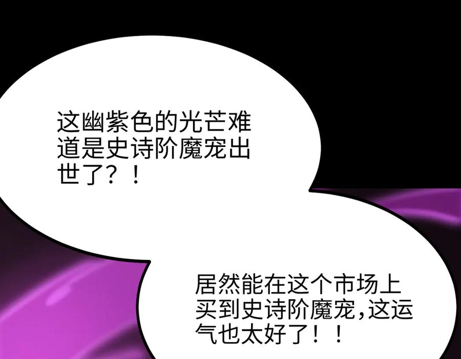 《SSS级超越常理的圣骑士》第27话 史诗阶魔宠 第158页
