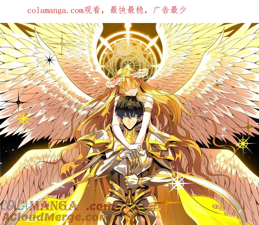 《SSS级超越常理的圣骑士》第37话 技能全开 第1页