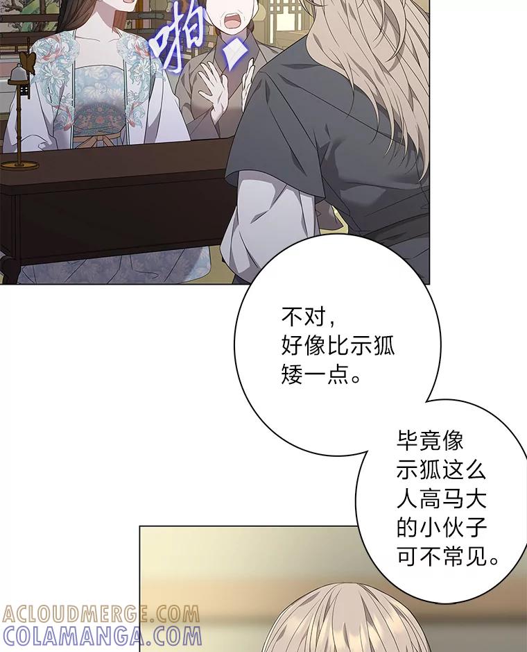 《魅惑狐狸》94.霓华的婚事 第45页