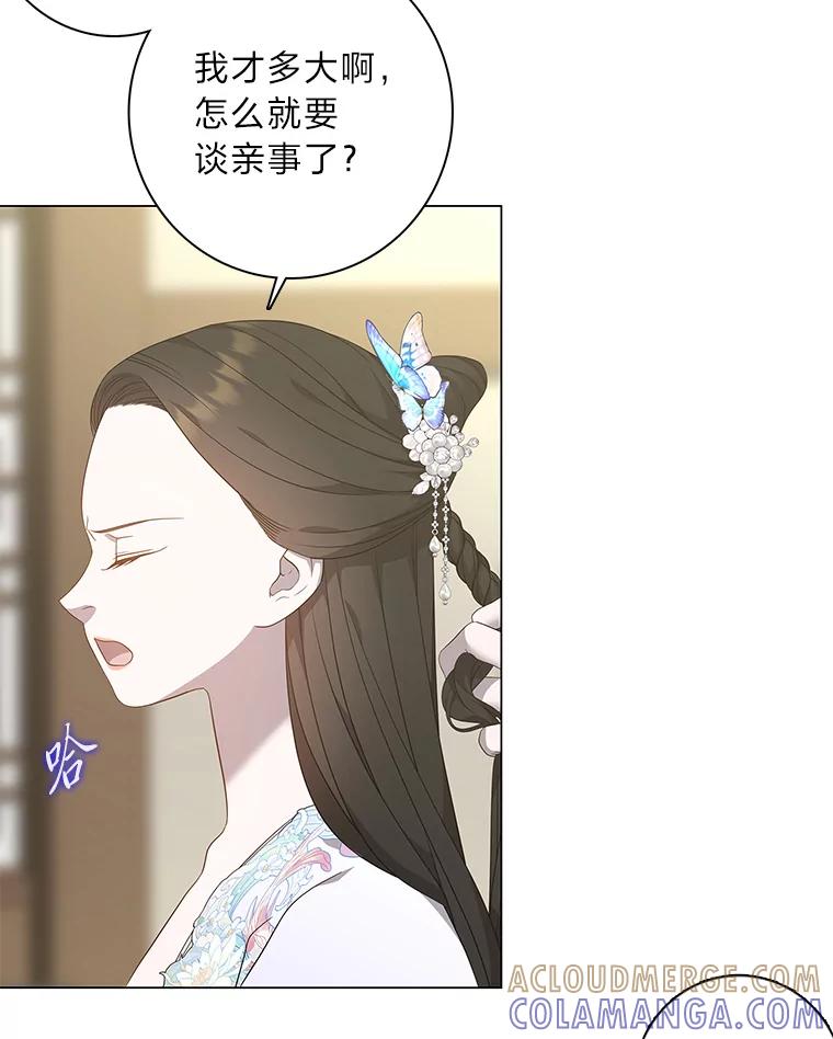 《魅惑狐狸》94.霓华的婚事 第29页