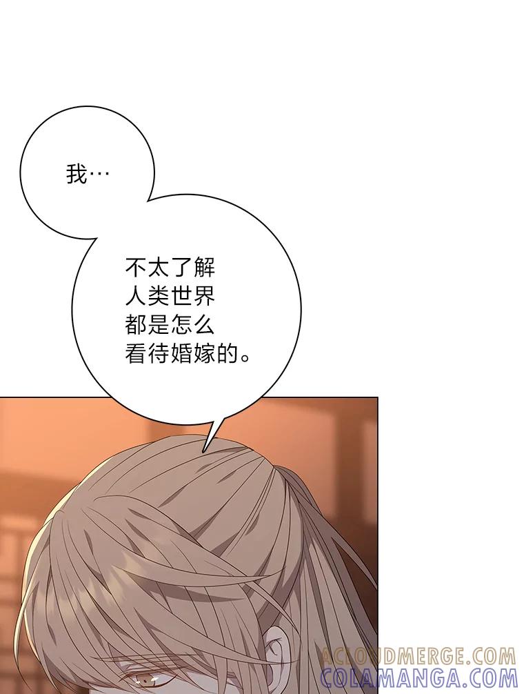 《魅惑狐狸》94.霓华的婚事 第113页