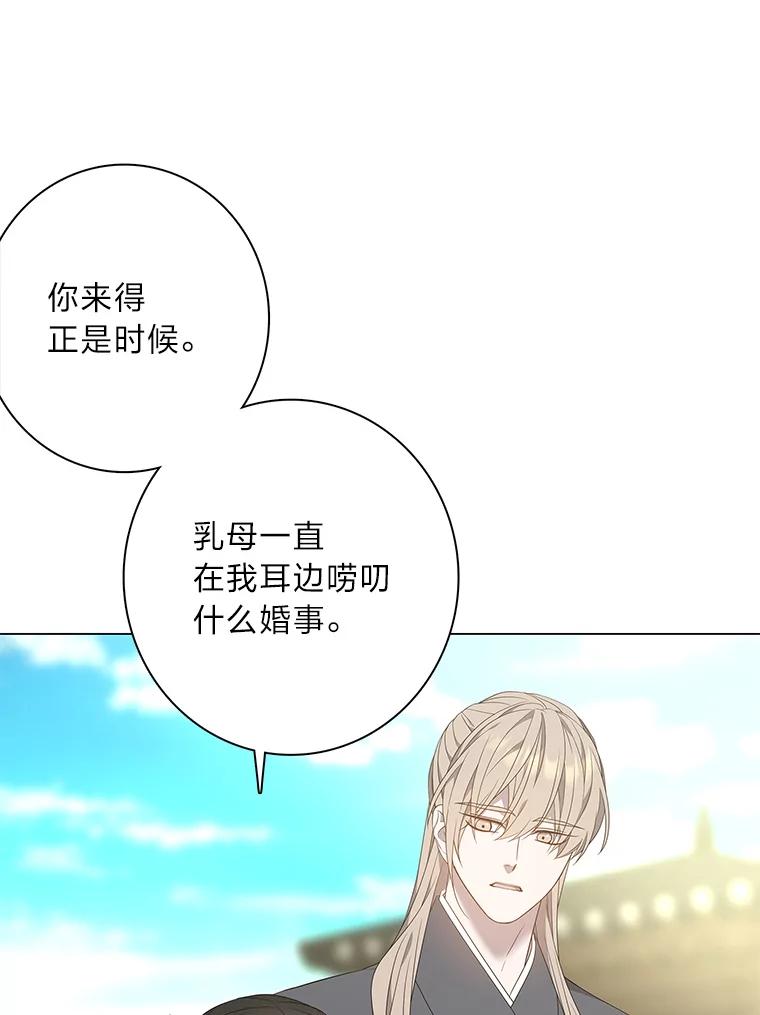 《魅惑狐狸》94.霓华的婚事 第51页