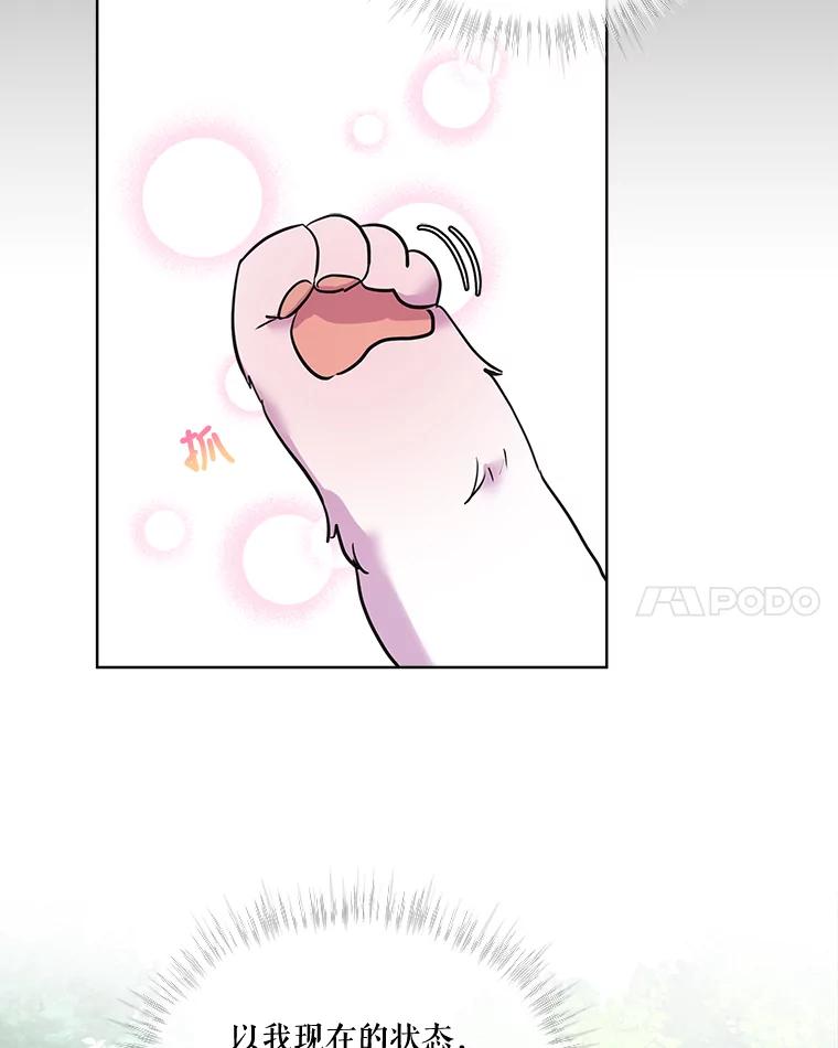 重生为神兽宝宝 - 1.重生成神兽 - 第50张图