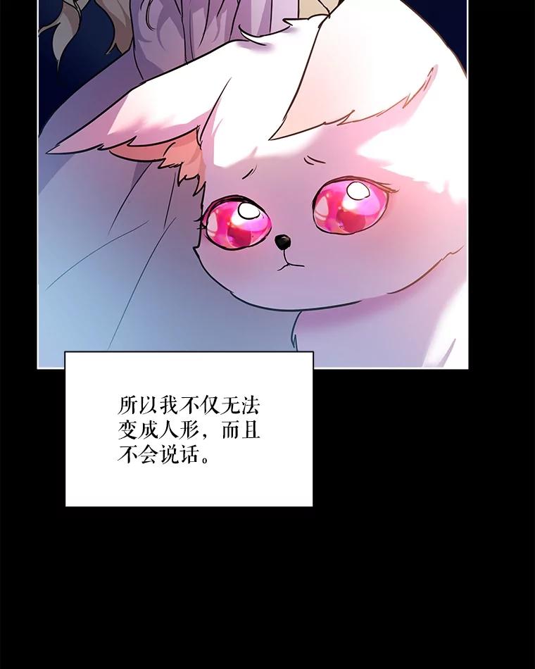 重生为神兽宝宝 - 1.重生成神兽 - 第44张图