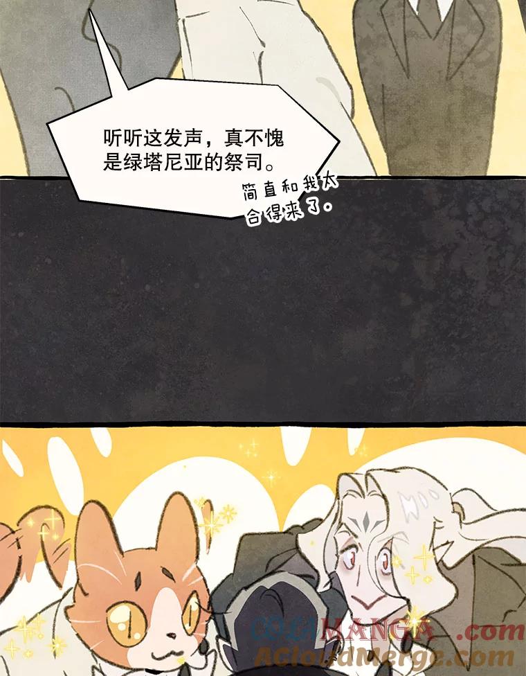 《在流星坠落之处等待》77.银色猫头鹰（1） 第40页