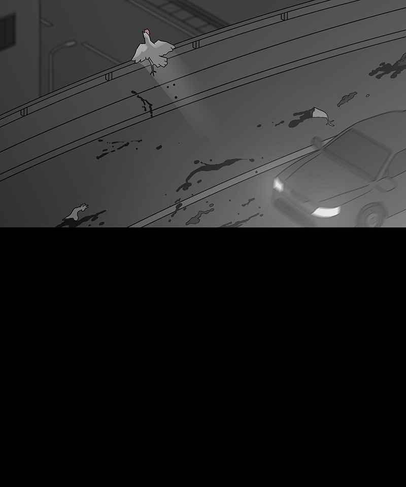 黑盒子 [第185话] 浪鸡天涯(1) 第24页
