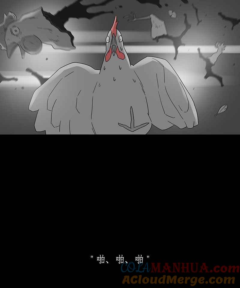 黑盒子 [第185话] 浪鸡天涯(1) 第23页