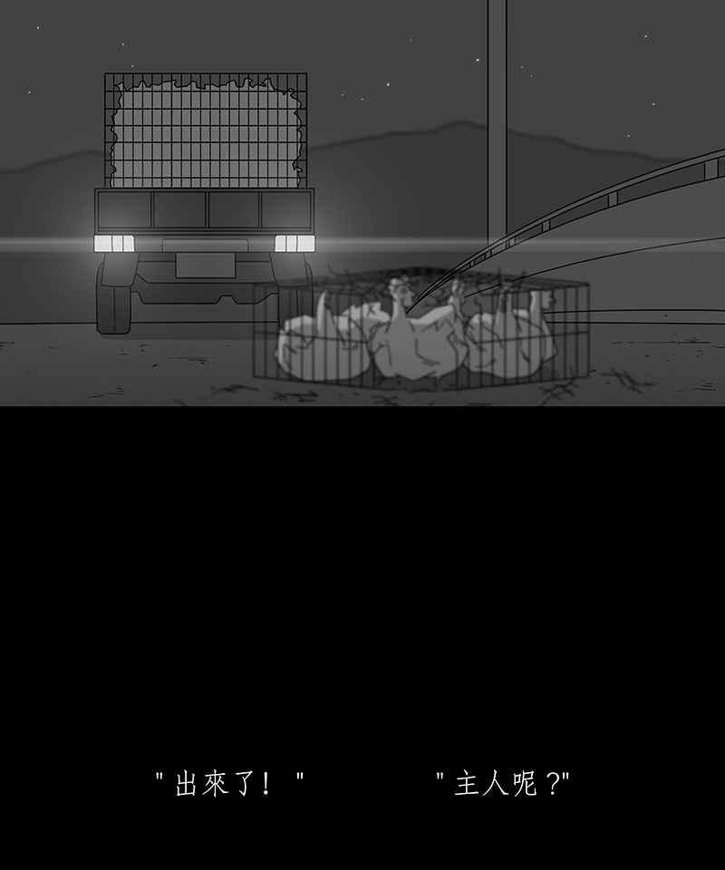 黑盒子 [第185话] 浪鸡天涯(1) 第16页