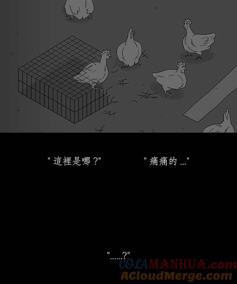 黑盒子 [第185话] 浪鸡天涯(1) 第17页