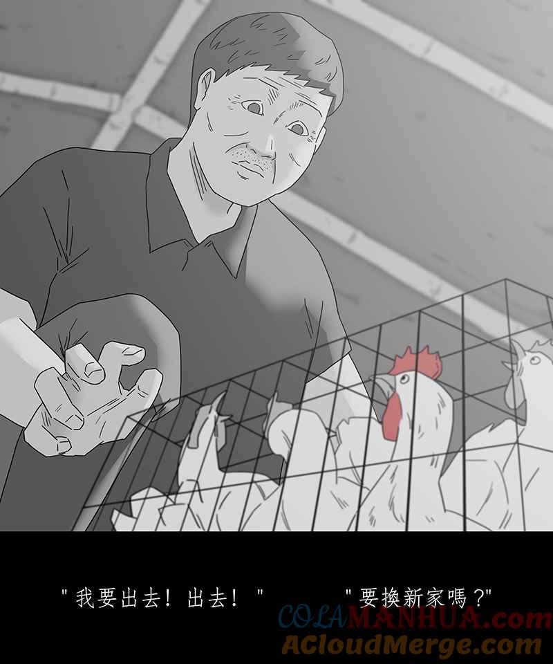 黑盒子 [第185话] 浪鸡天涯(1) 第7页