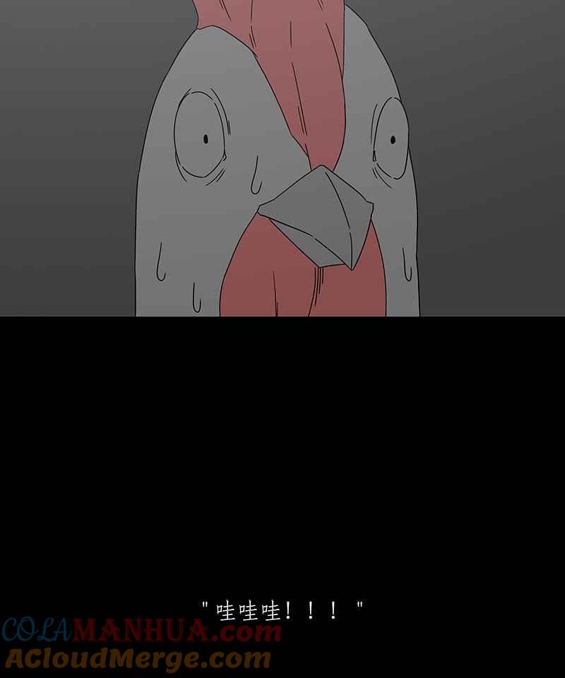黑盒子 [第186话] 浪鸡天涯(2) 第18页