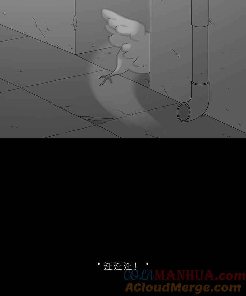 黑盒子 [第186话] 浪鸡天涯(2) 第4页