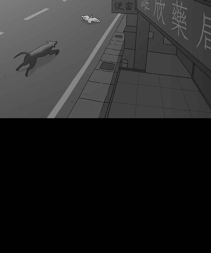 黑盒子 [第186话] 浪鸡天涯(2) 第3页