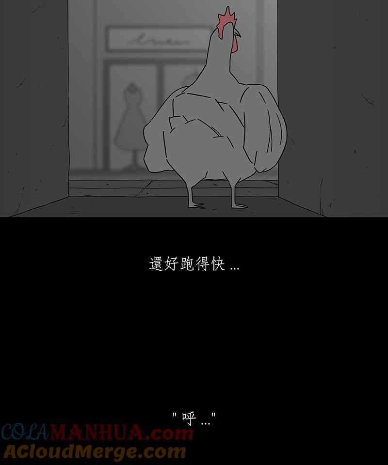 黑盒子 [第186话] 浪鸡天涯(2) 第8页