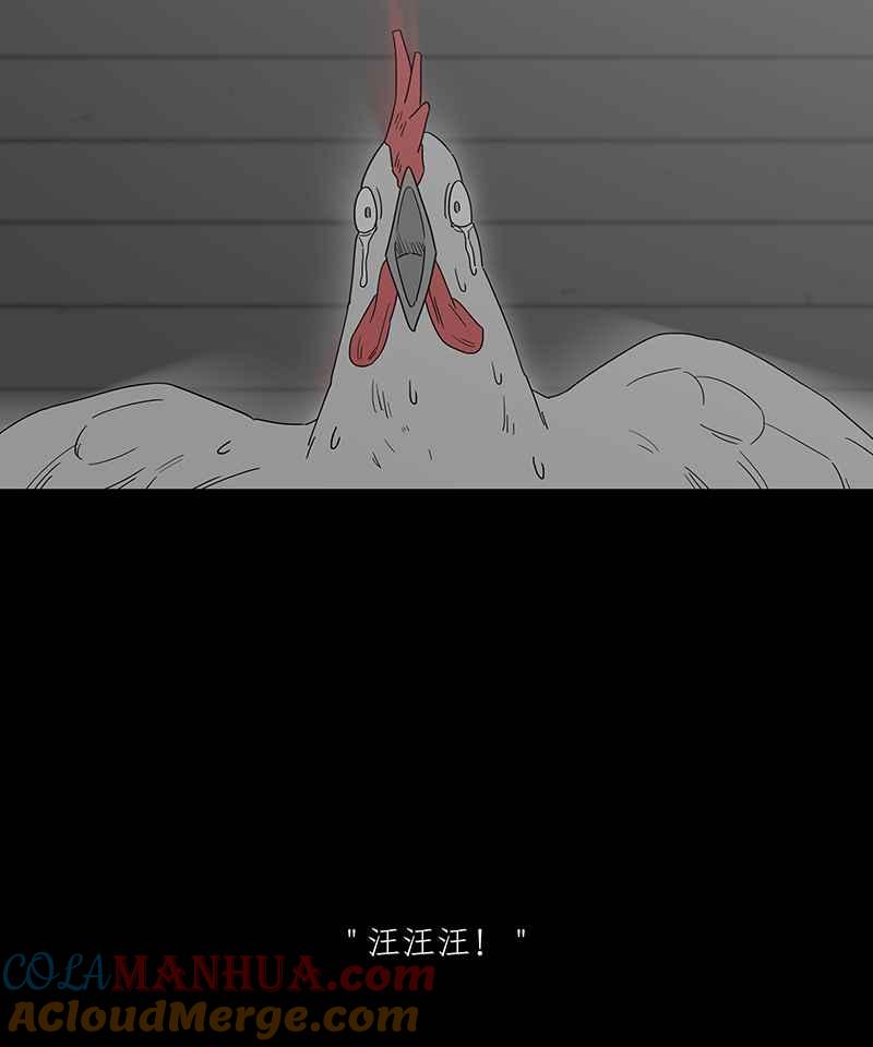 黑盒子 [第186话] 浪鸡天涯(2) 第2页
