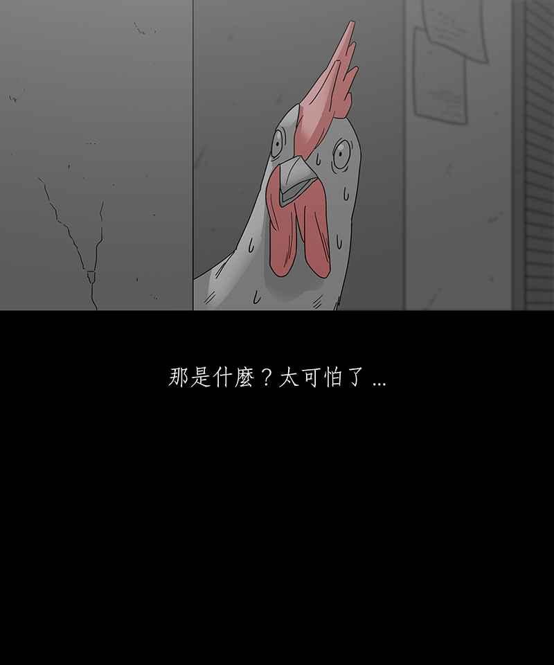 黑盒子 [第186话] 浪鸡天涯(2) 第7页