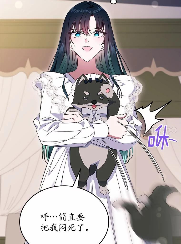 《抢走女主的初恋》57.高级神兽 第135页