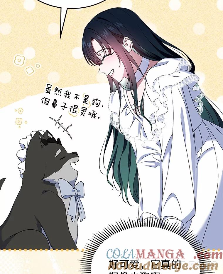 《抢走女主的初恋》58.礼物 第41页