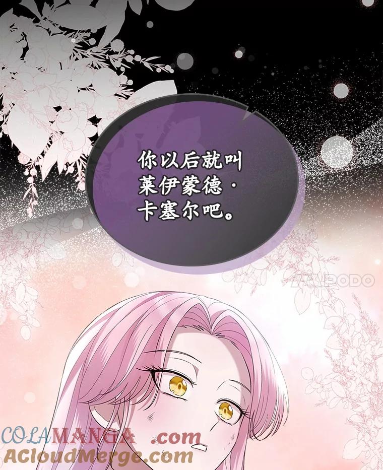 《抢走女主的初恋》59.随心所欲 第41页