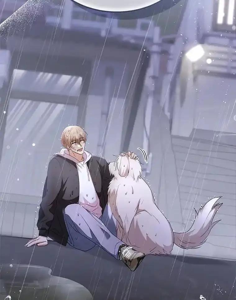 《你好？兽医先生！》58.小古历险记（2） 第82页