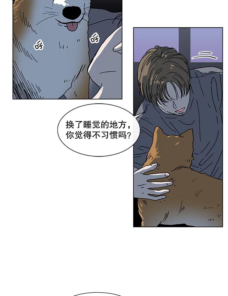 《青春之家》108.追踪者 第15页