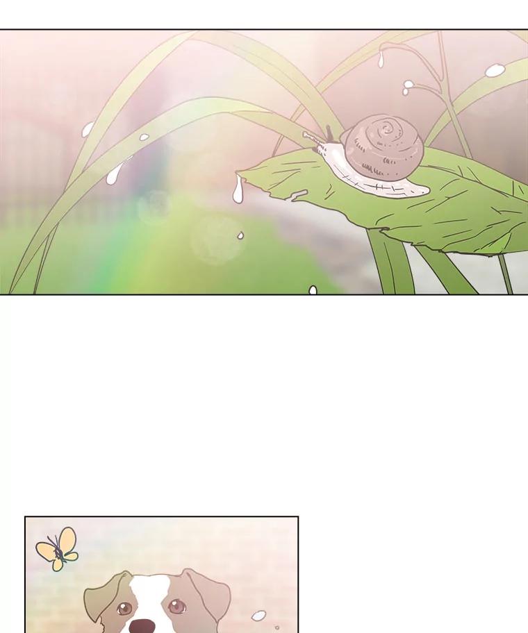 《青春之家》128.好感2 第53页