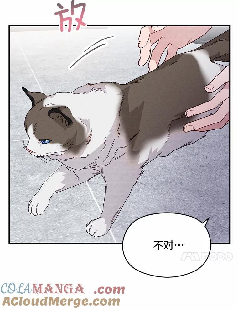 《蒂凡尼的早安吻》16.被困警察局 第41页