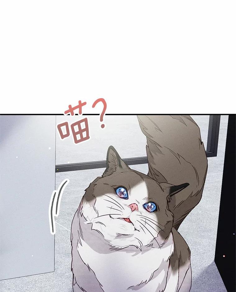 《蒂凡尼的早安吻》18.消失的拼图 第98页
