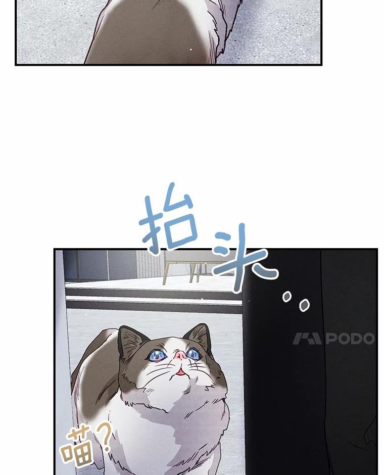 《蒂凡尼的早安吻》18.消失的拼图 第92页