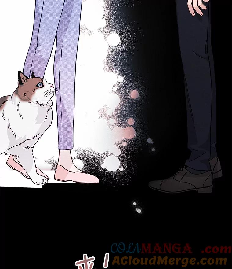 《蒂凡尼的早安吻》23.真正的主人 第69页