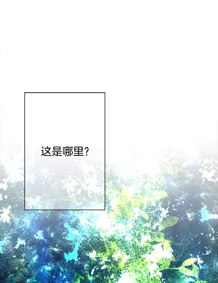 《第8位契约新娘》55.调查 第66页