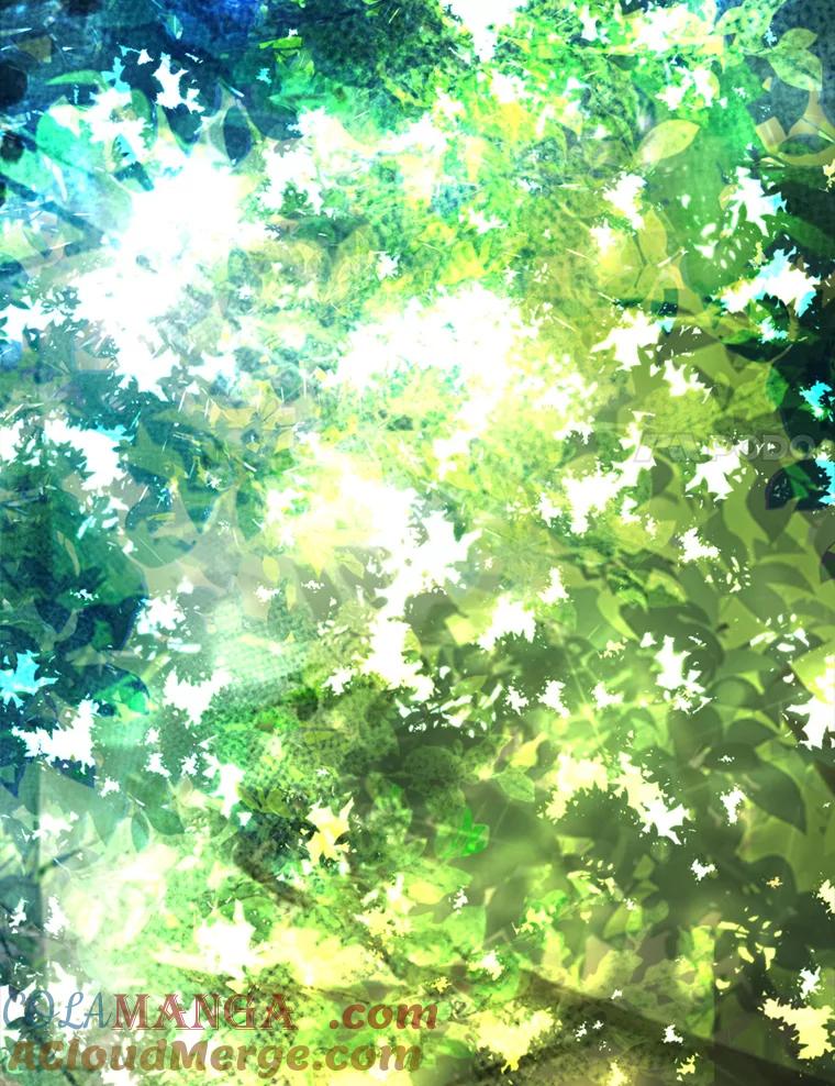 《第8位契约新娘》55.调查 第67页