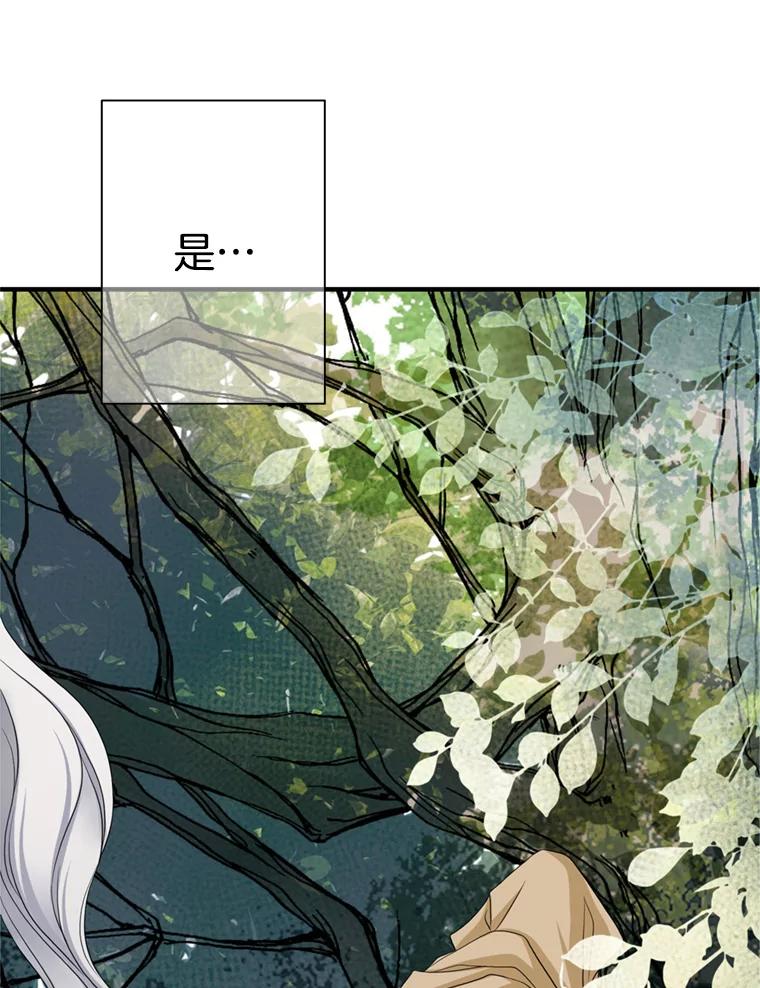 《第8位契约新娘》55.调查 第72页