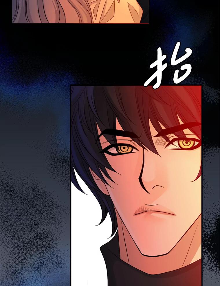 《第8位契约新娘》58.保护她 第17页