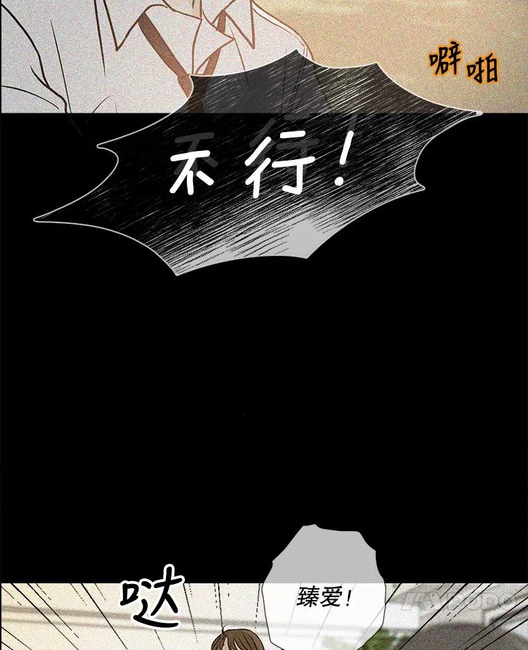 《消失的新郎》63.要塞 第74页