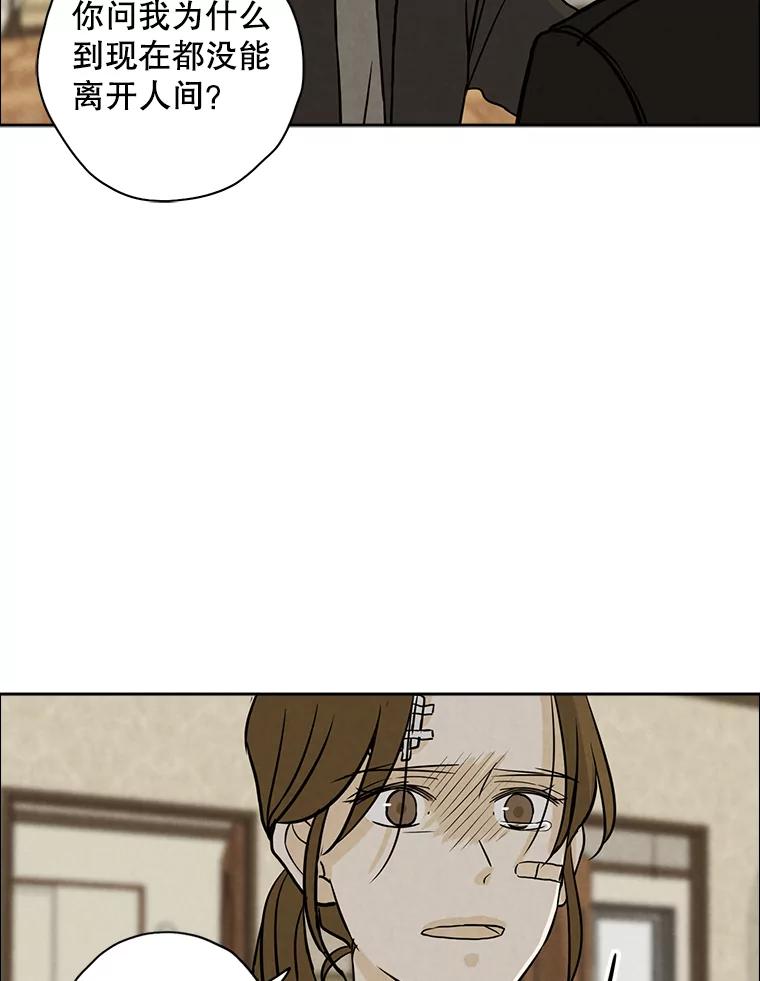《消失的新郎》63.要塞 第44页
