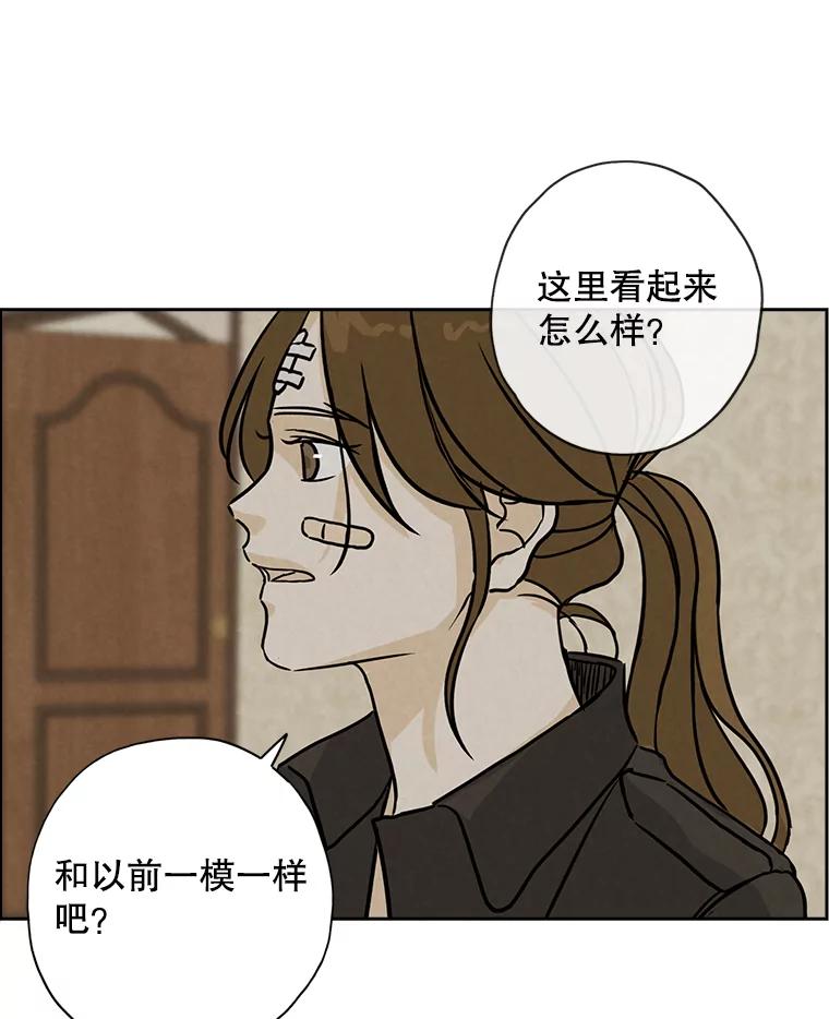 《消失的新郎》63.要塞 第26页