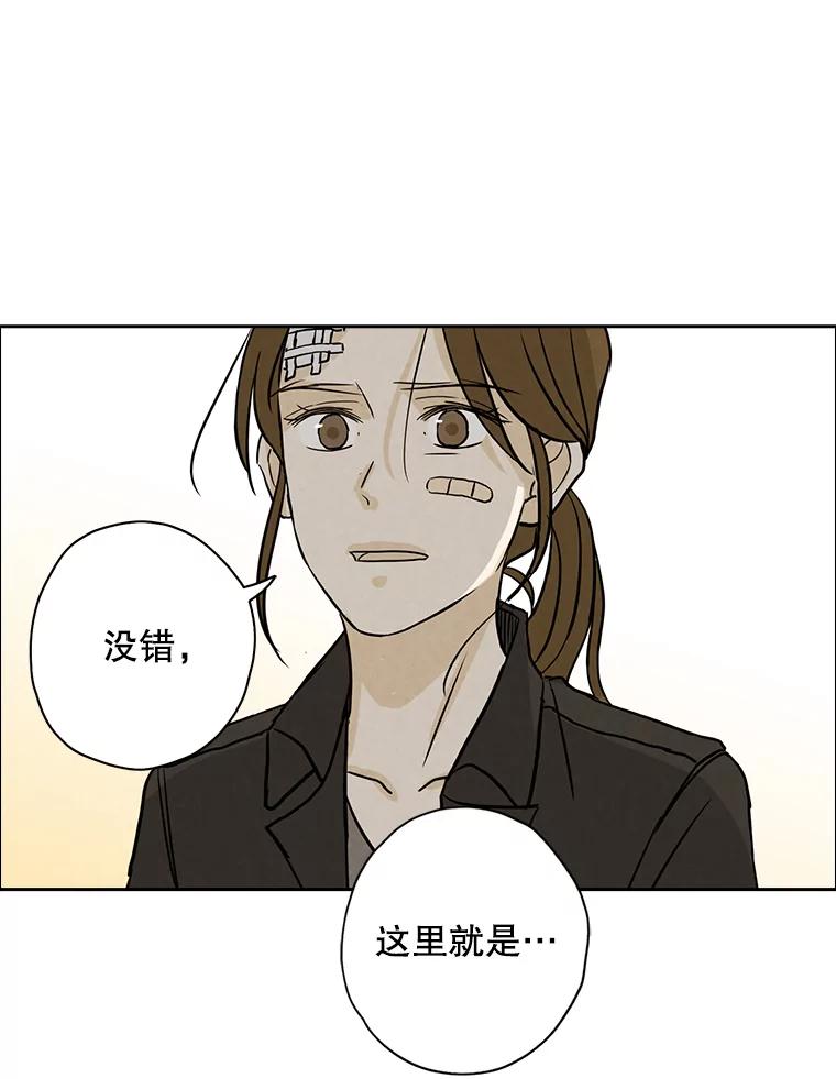 《消失的新郎》63.要塞 第40页