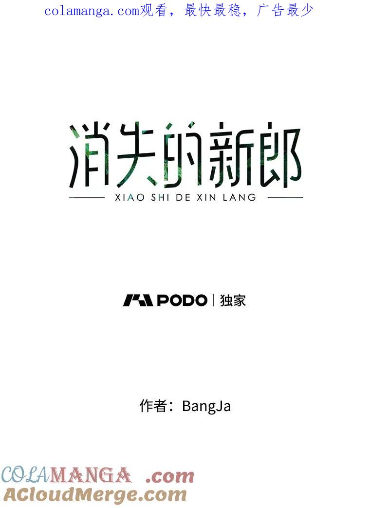 《消失的新郎》64.联手 第1页