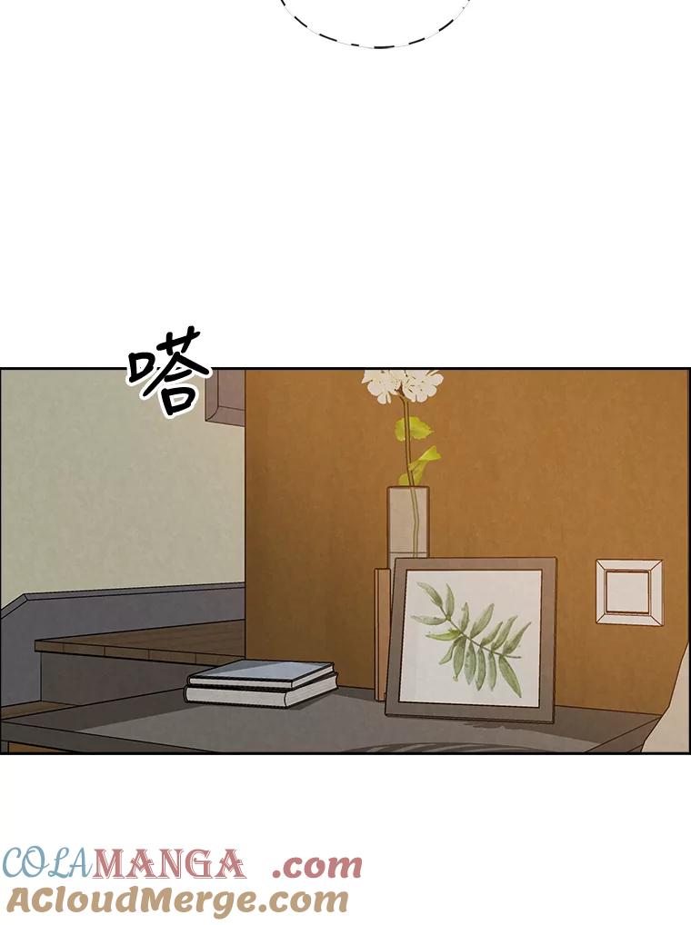 《消失的新郎》64.联手 第65页