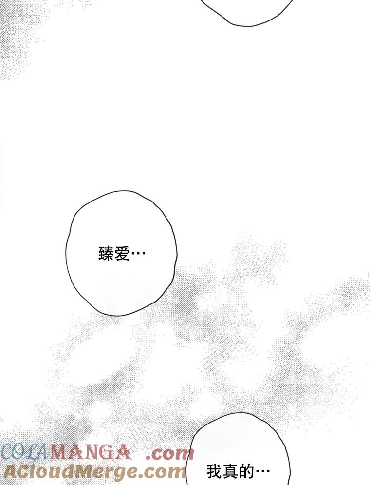 《消失的新郎》64.联手 第105页